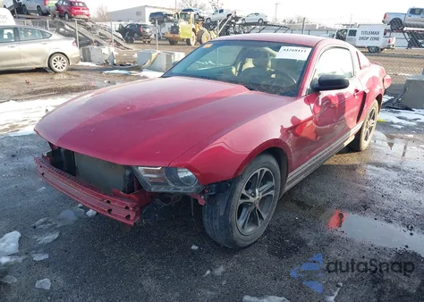 2010 Ford Mustang V6/V6 Premium z USA, uszkodzony, nr VIN 1ZVBP8AN9A5139882